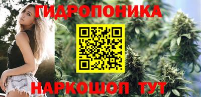 прущие грибы Кумертау